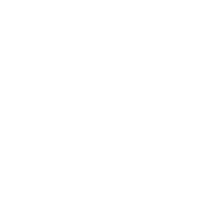 Goose